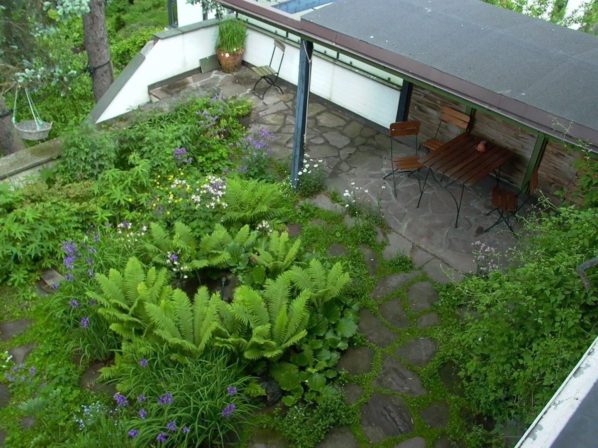 Stor terrasse med utgang fra stue Galleribilde