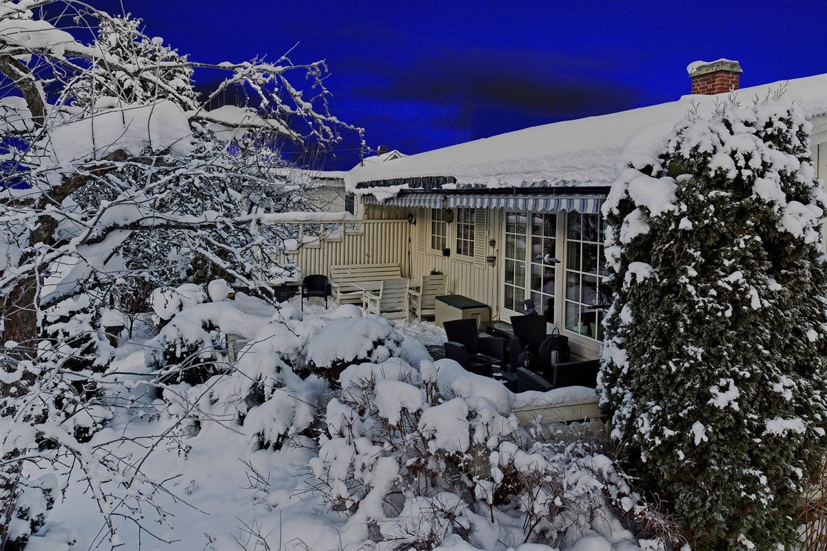 Koselig skjermet terrasse med gode solforhold. Galleribilde