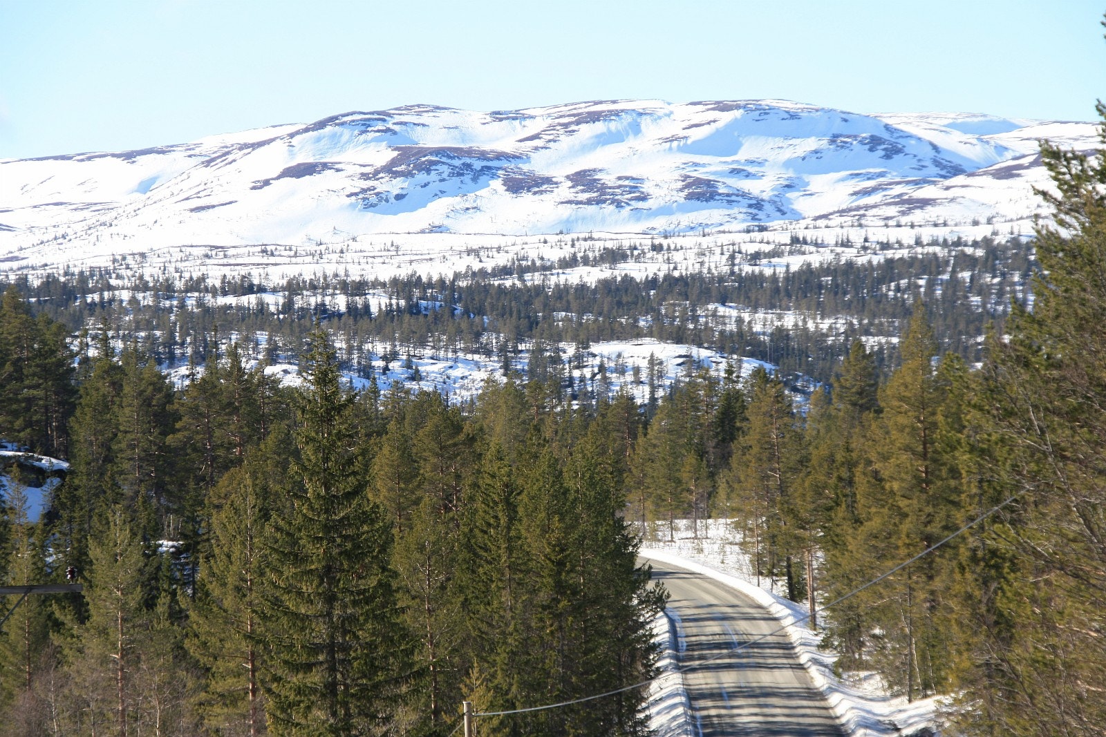 Asfaltert vei til fjells Galleribilde