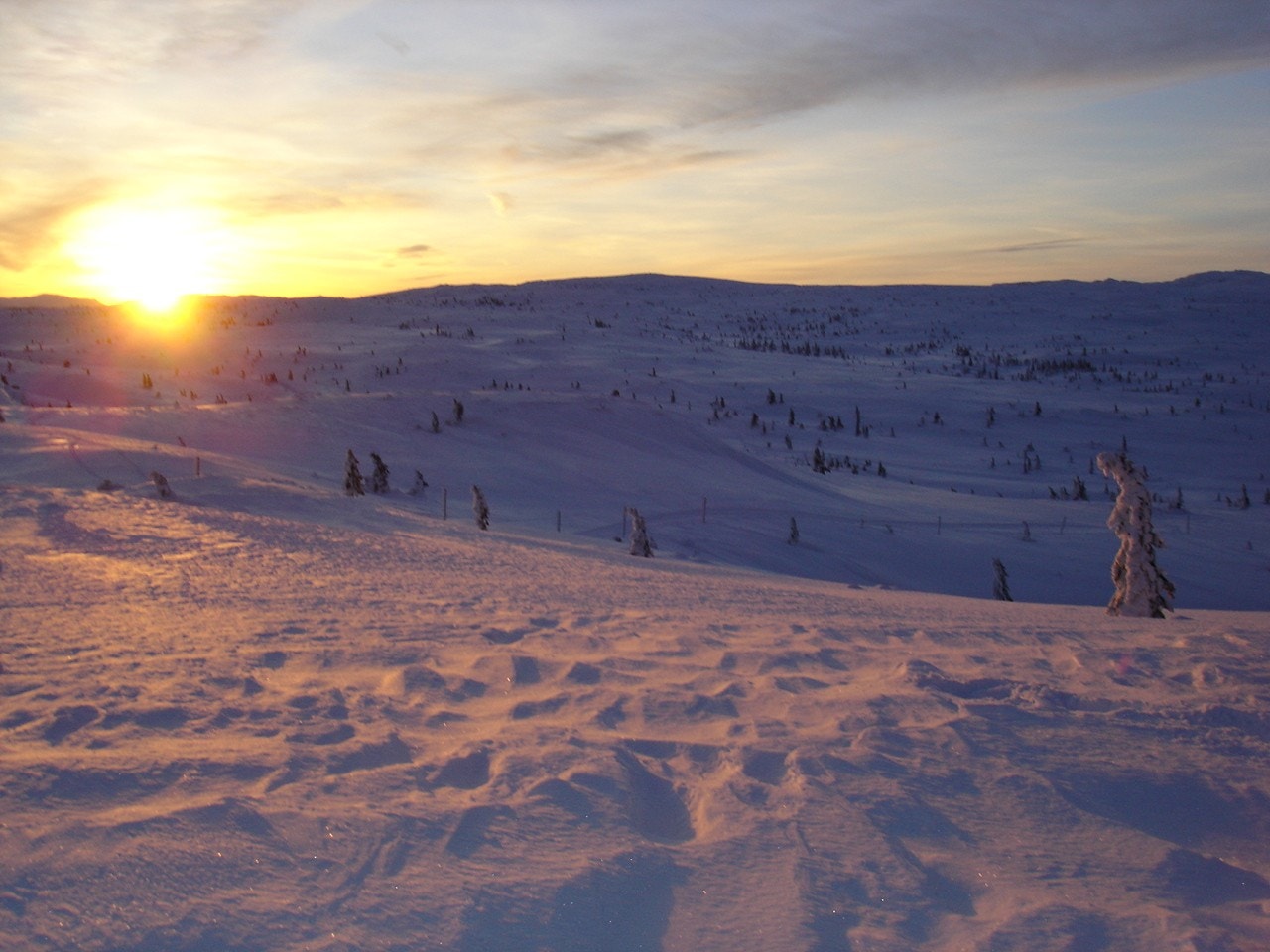 Flotte områder Galleribilde