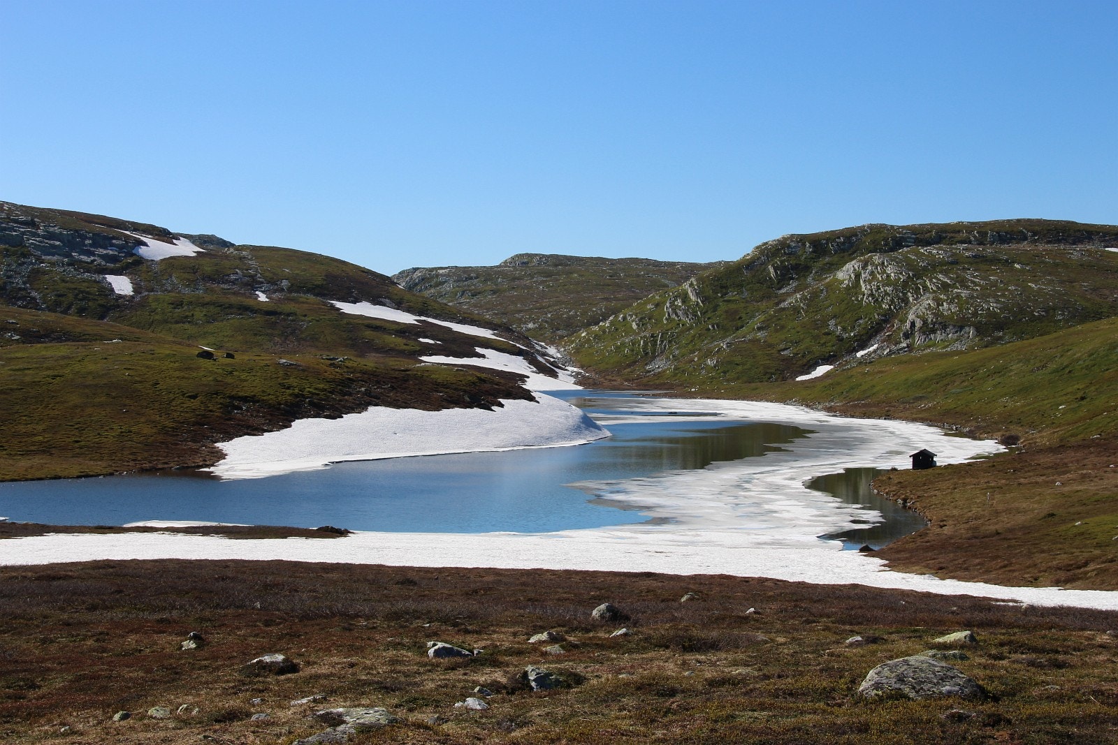 Vår på blefjell Galleribilde