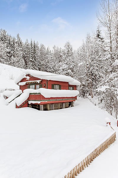 Mastfoto Galleribilde