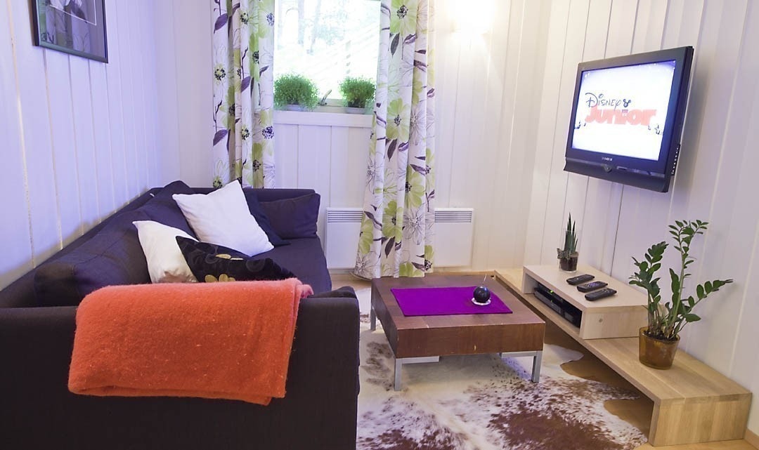 Stuen har en større ny sofa i dag, god å sitte i, lavt bord og en enkel, lav heltre seksjon. Det henger en TV på veggen. Her er også et stort kott med skohylle og plass til klær og ting. Galleribilde