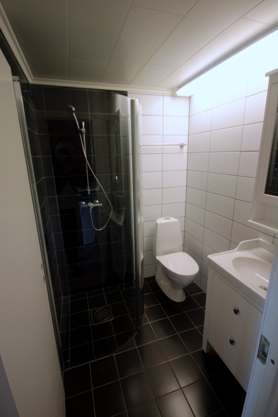 Badet med dusjhjørne, toalett og baderomsmøbler med speil Galleribilde