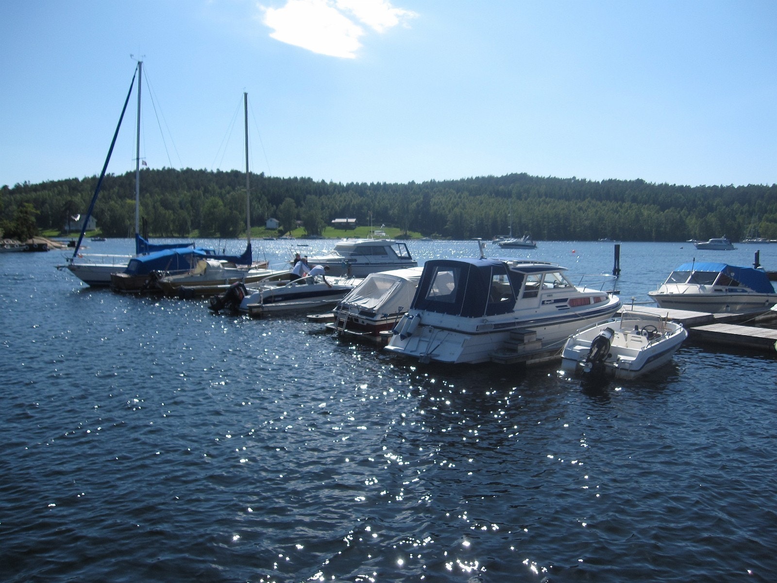 Utsikt mot syd Galleribilde