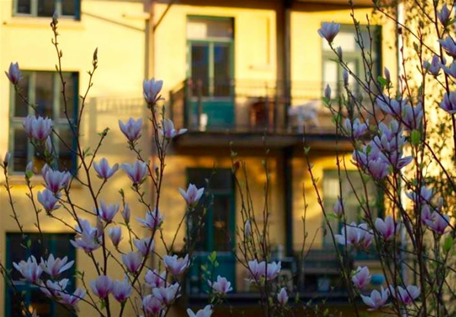 Detalj, bakgård Galleribilde