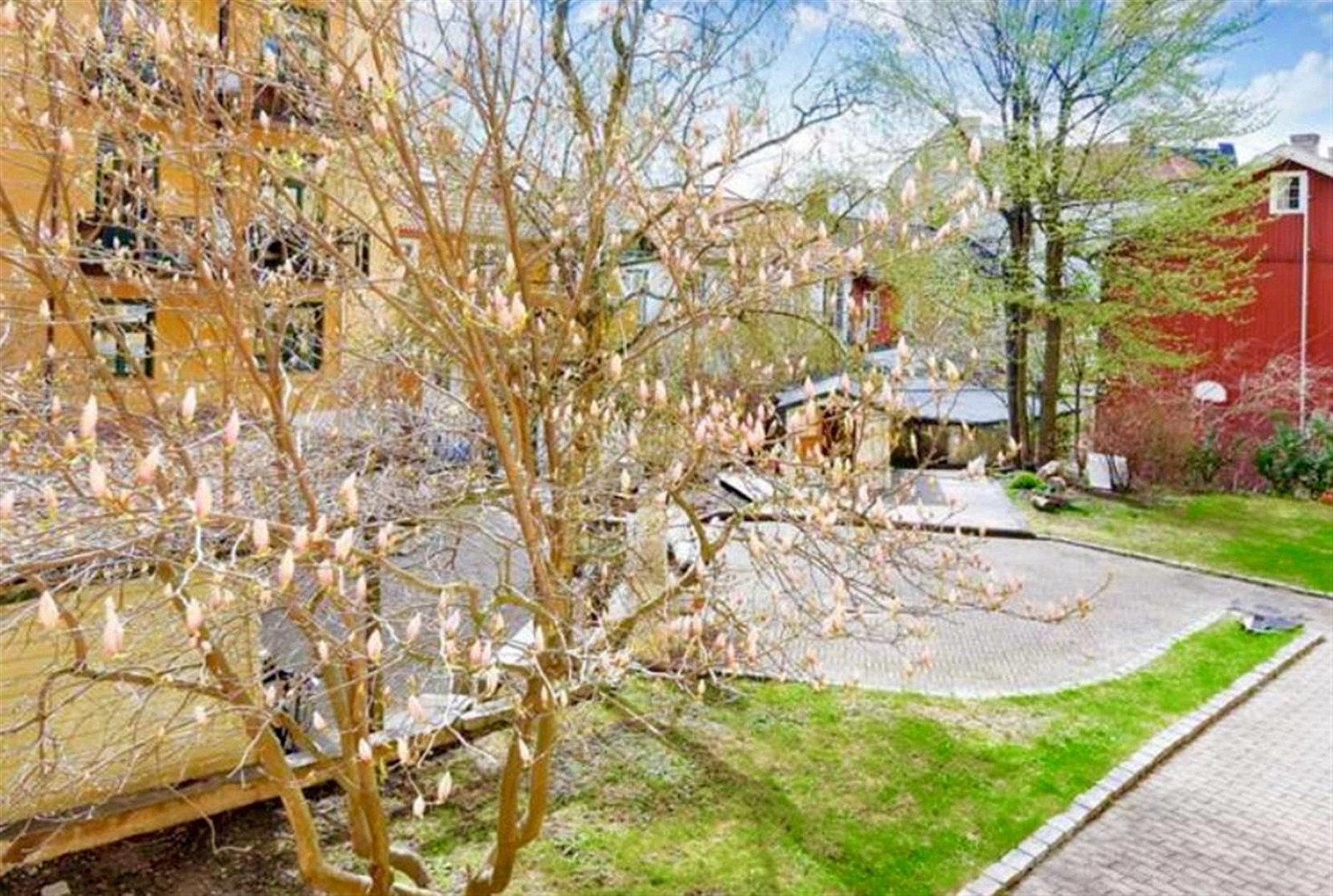 Skjermet og frodig bakgård Galleribilde