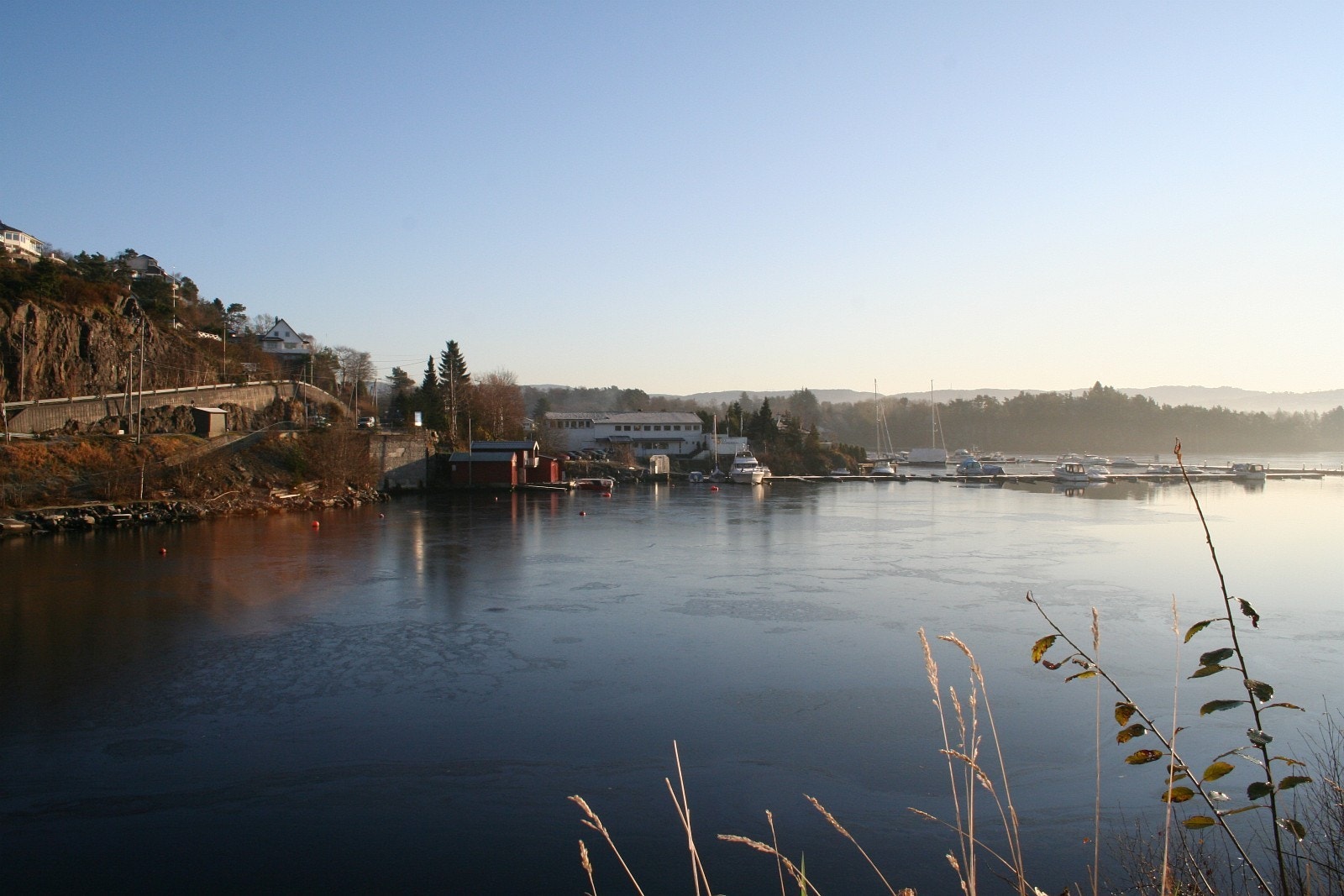Flott natur og fine omgivelser Galleribilde