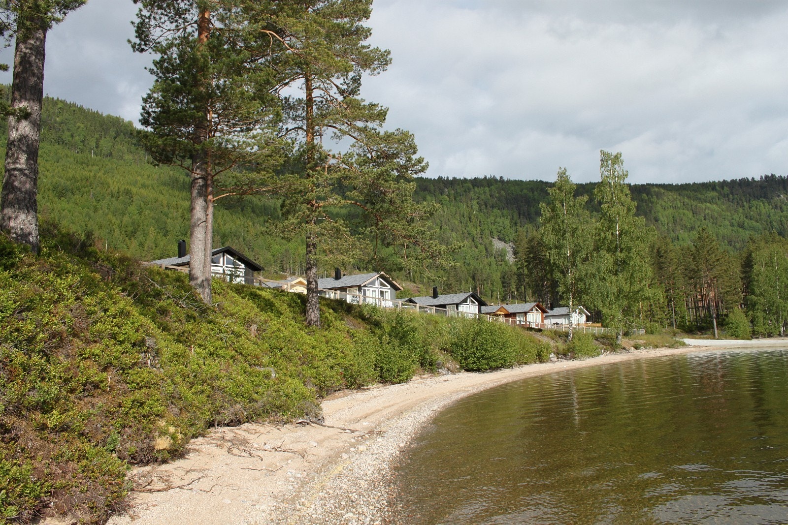 Nisser Hyttegrend, stranda. Galleribilde
