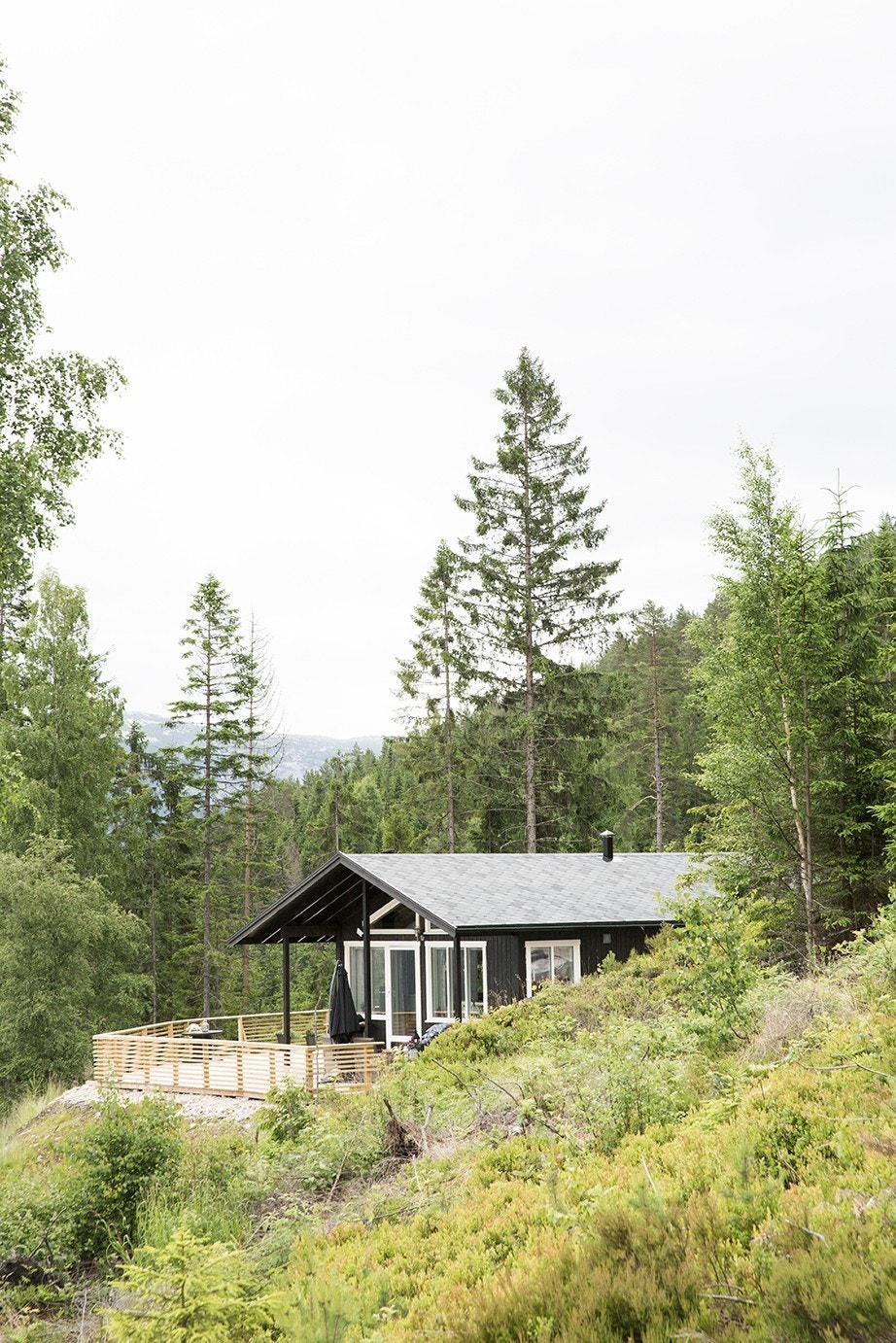 Smarte 50 Pluss (tillegg for plusspakke). Galleribilde