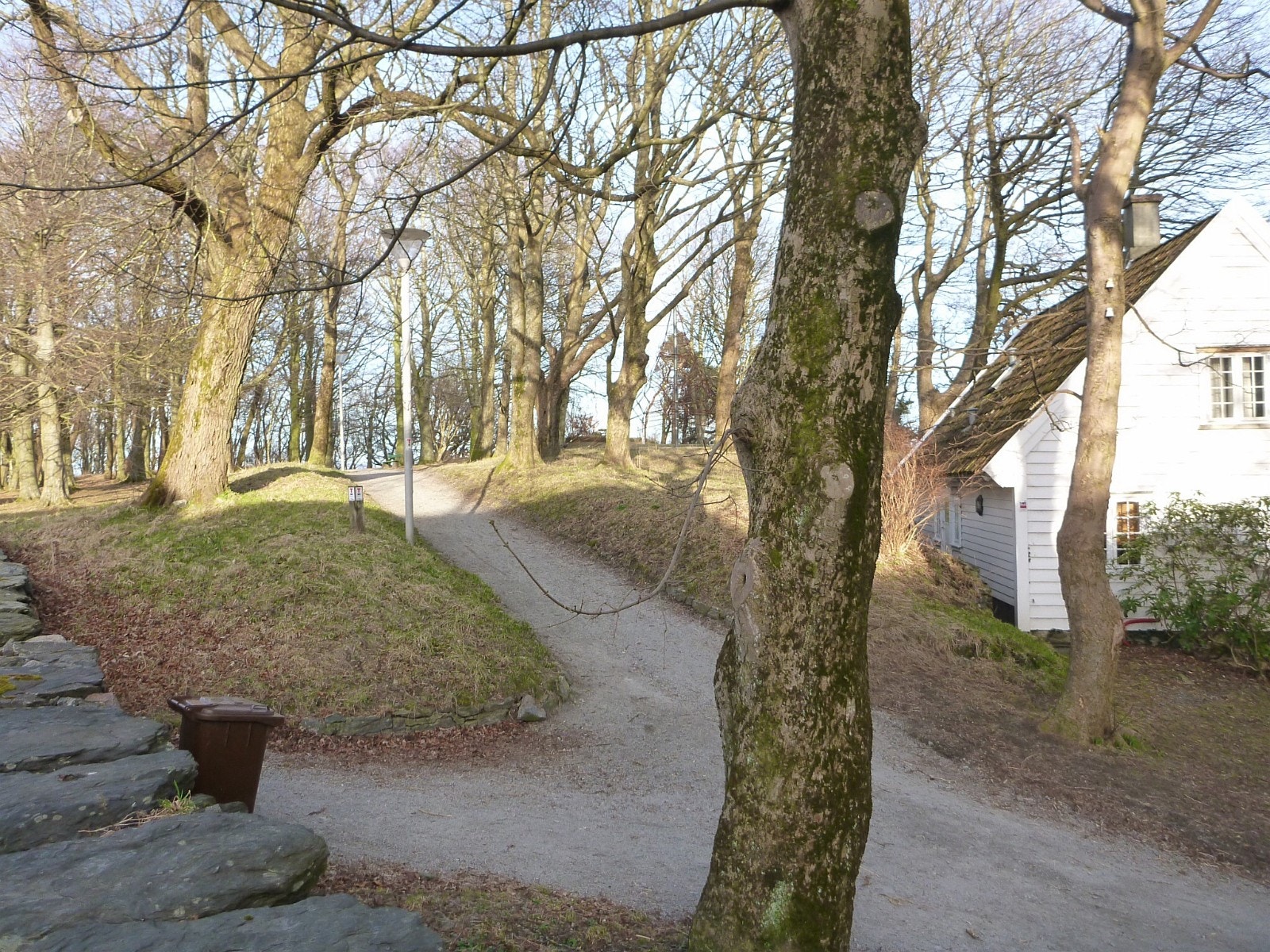 Bjerkstedparken Galleribilde