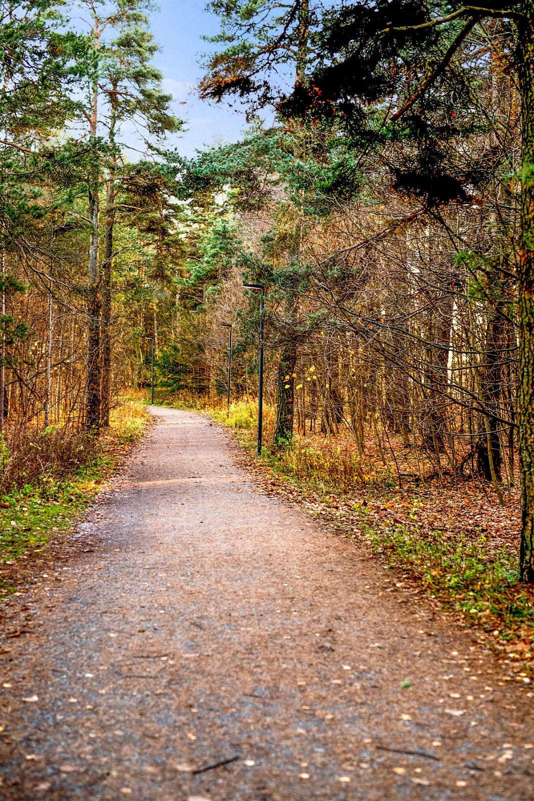 Flere flotte turmuligheter rett utenfor døren. Galleribilde
