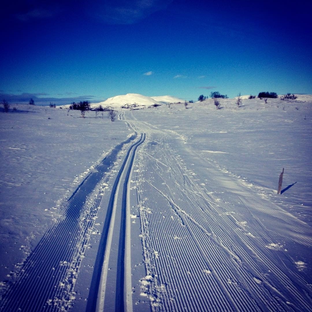 Skiløyper Foto Anne Marit Grøtli Galleribilde
