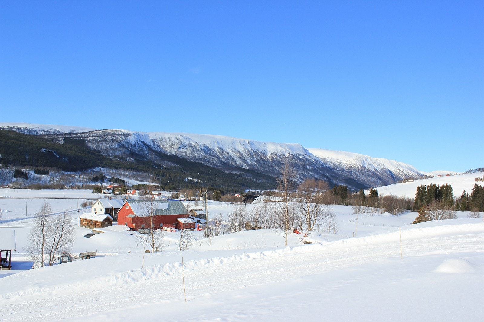 Utsikt fra veranda Galleribilde