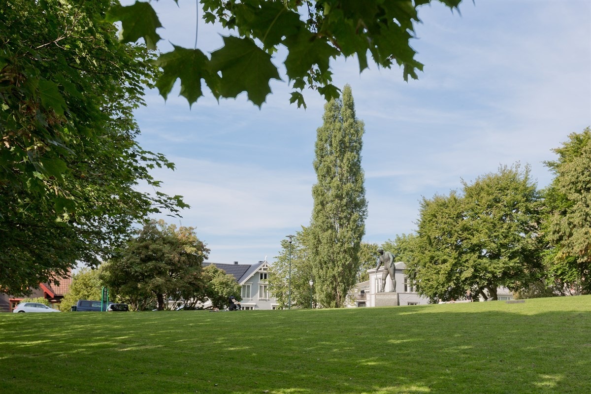 Nærområdet. Galleribilde