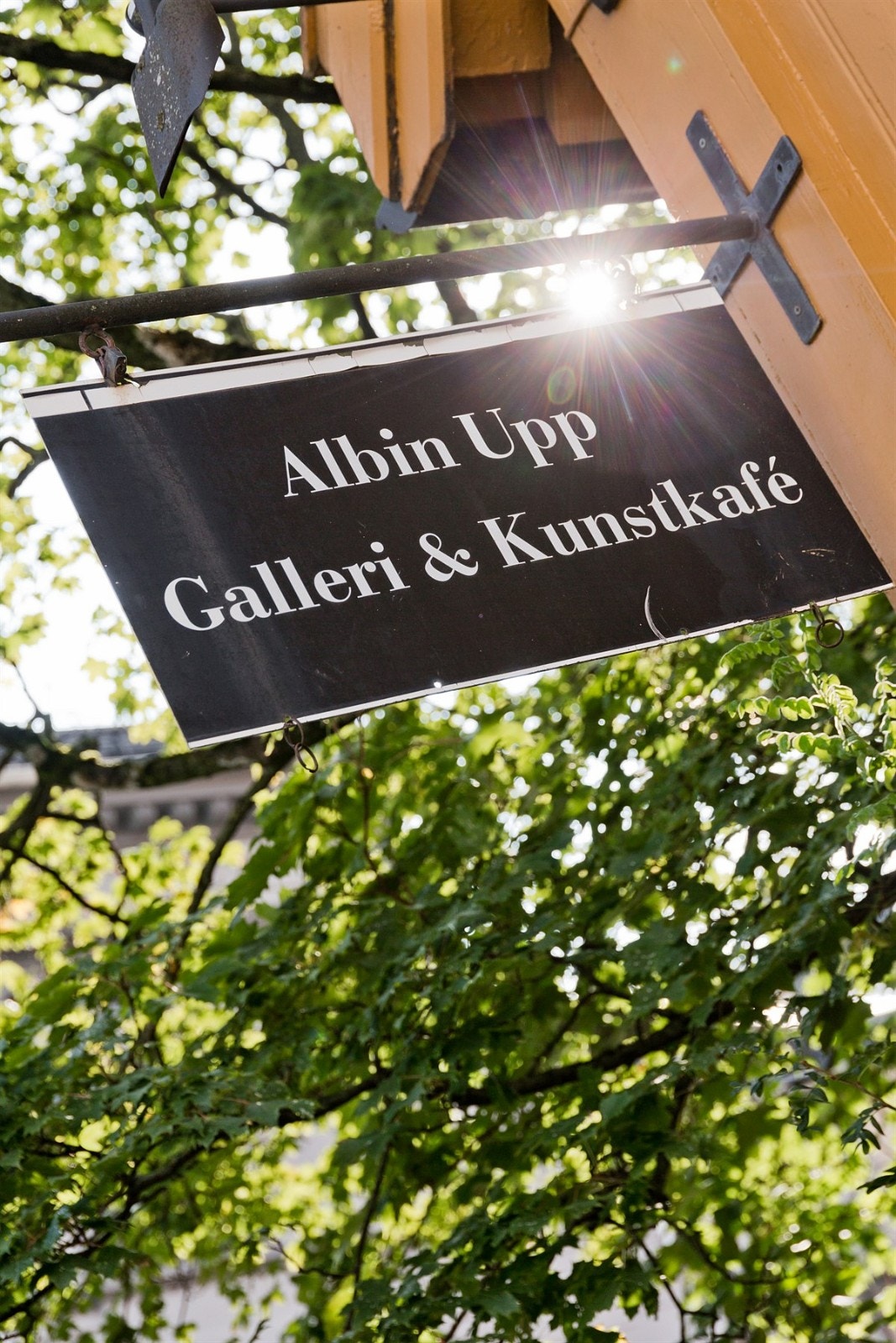 Nærområdet. Galleribilde