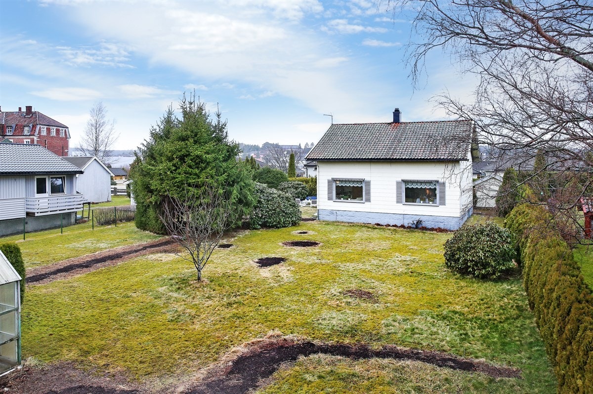 Stor hage, flere trær og busker er nettopp fjernet på plenen Galleribilde