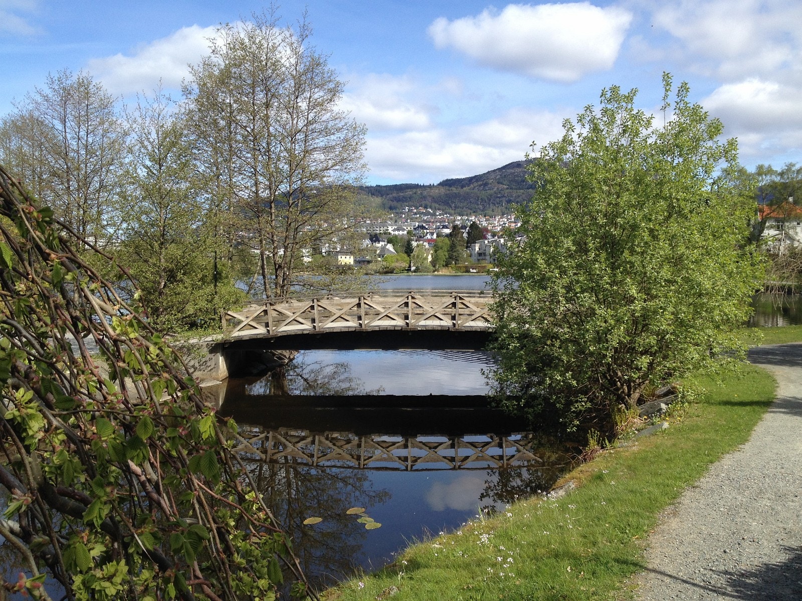 Nærområde Galleribilde