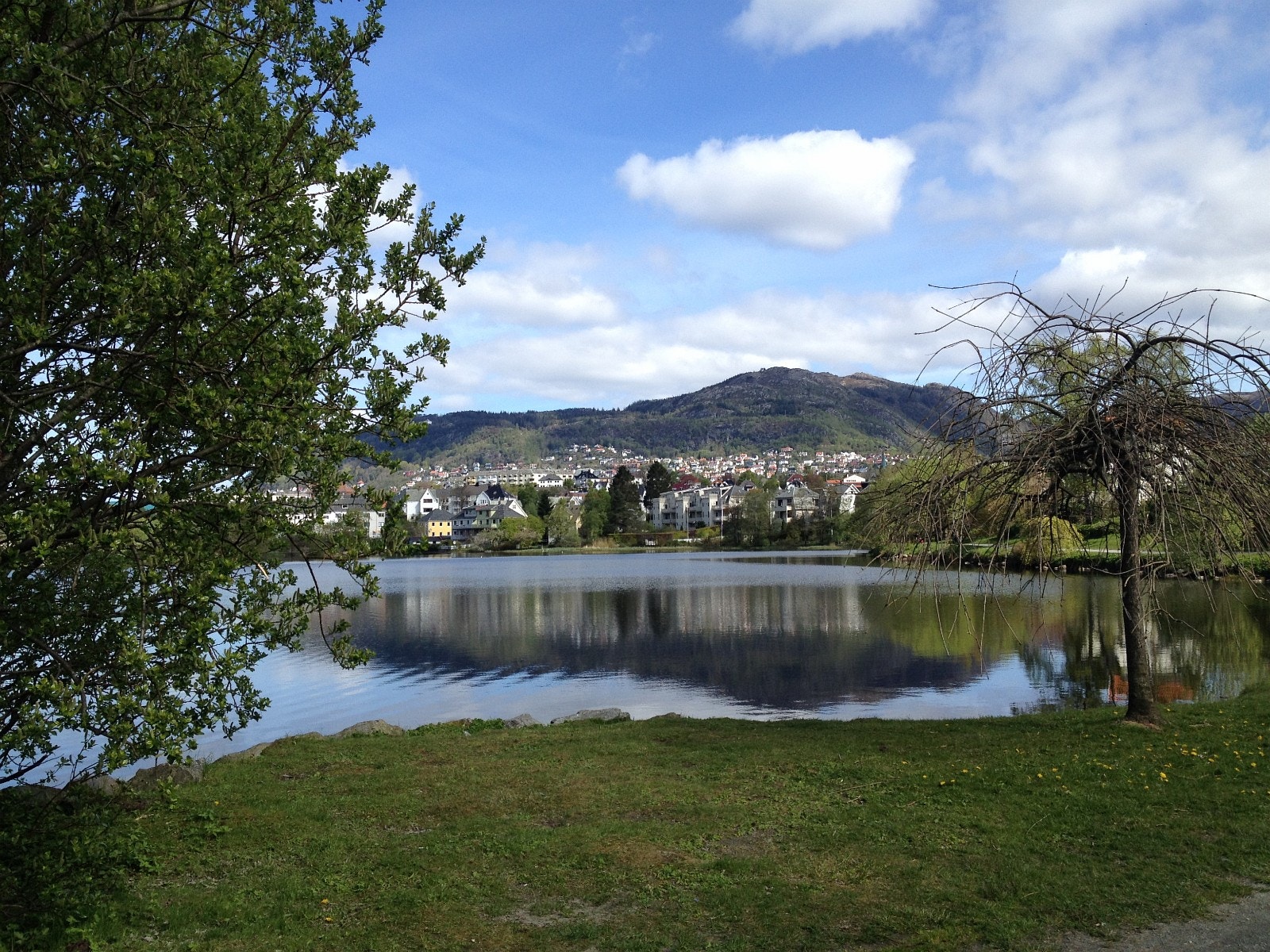 Nærområde Galleribilde