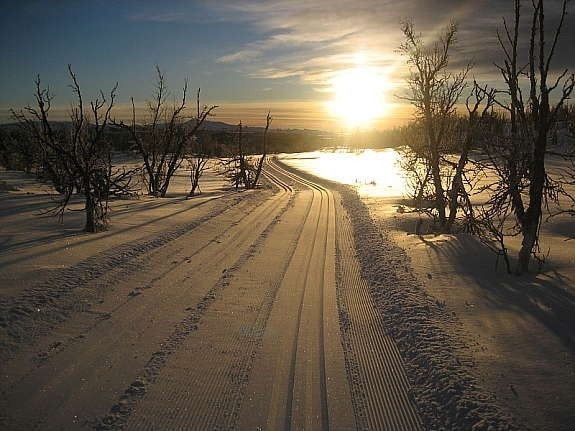 Flotte preparerte skiløyper som er knyttet sammen i området. Galleribilde