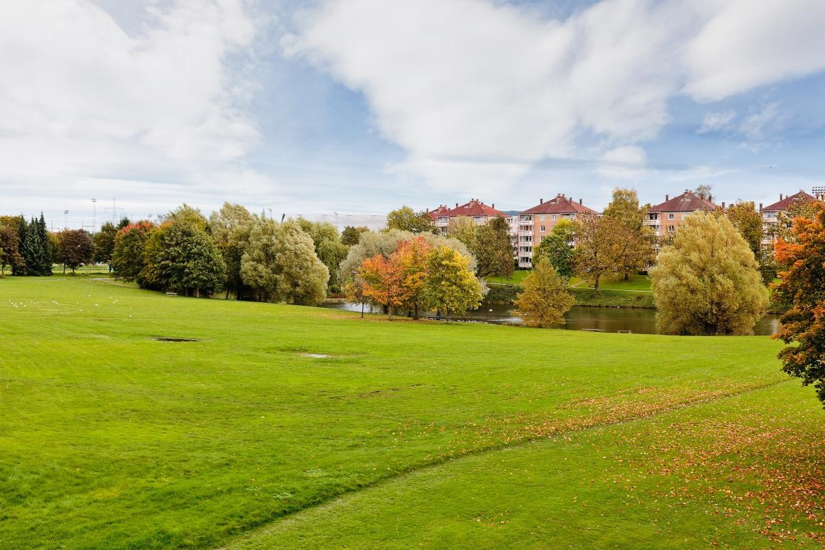 Samme området fra en fantastisk høstdag. Galleribilde