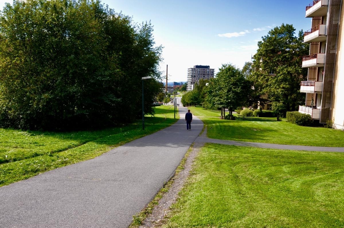 Borettslaget tomt er fantastisk opparbeidet og alltid på stell, sommer som vinter. Galleribilde