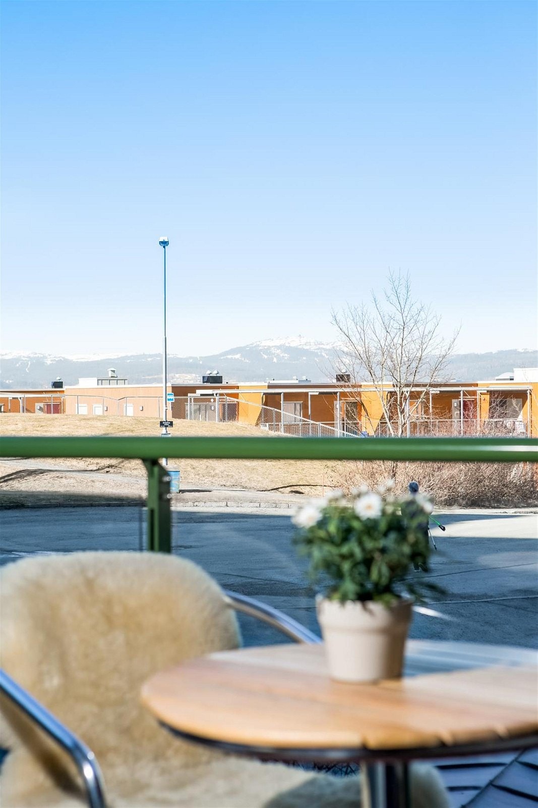 Nydelig utsikt mot blant annet Gråkallen, Trondheim by og Fosenalpene Galleribilde