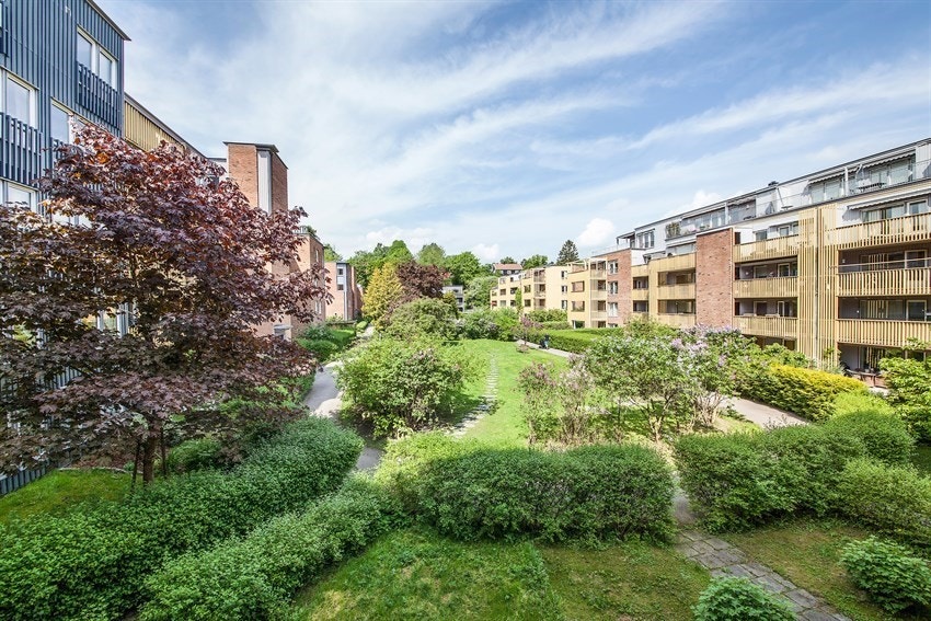 Fantastisk flott felleshage Galleribilde