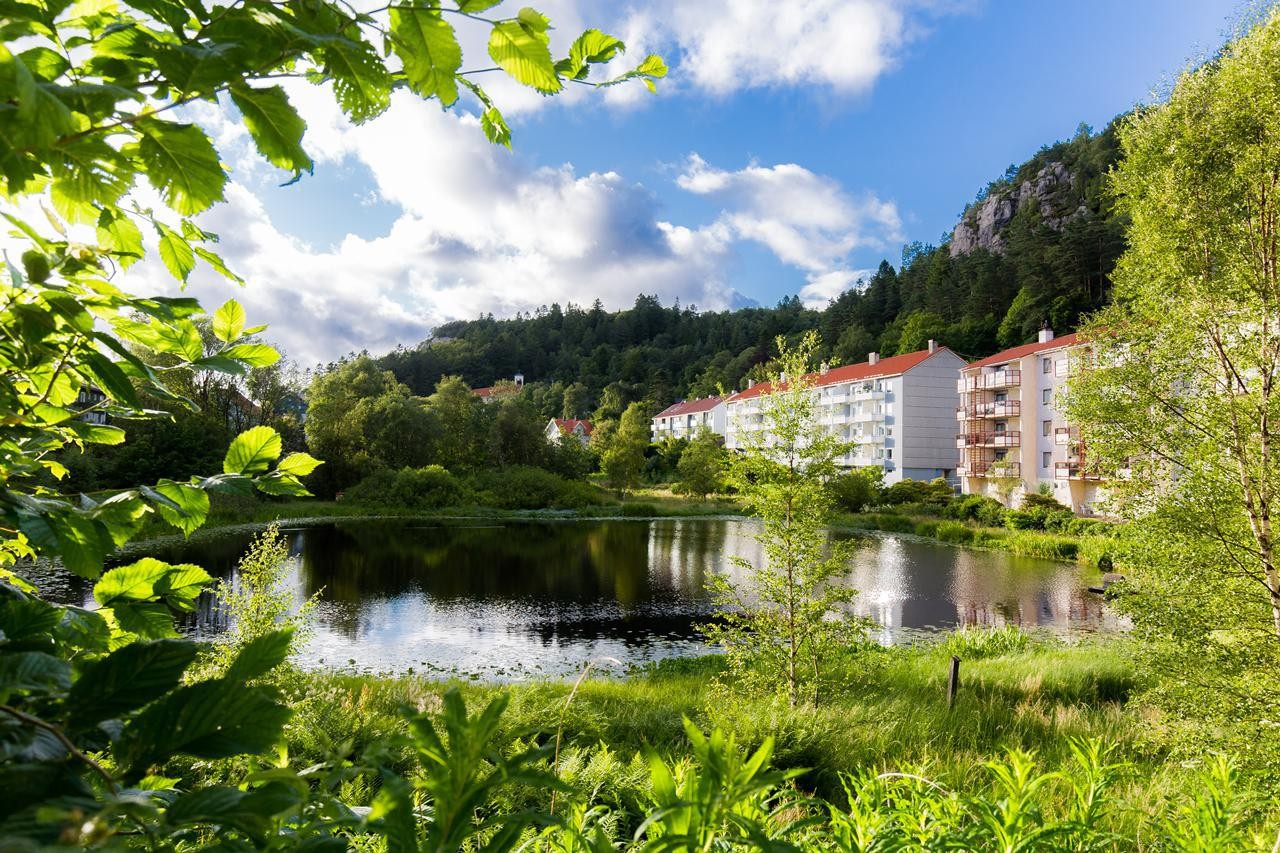 Eiketjernet Galleribilde