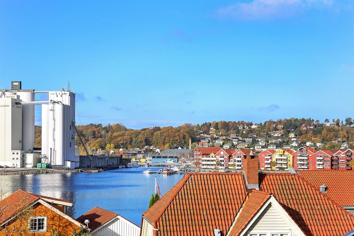 Utsikt mot vest Galleribilde