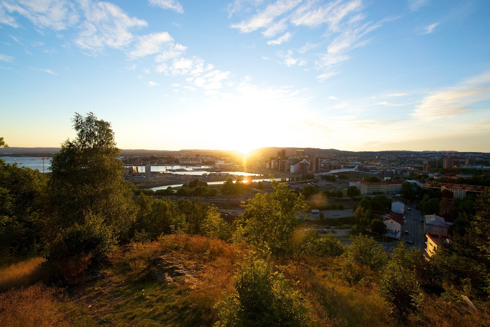 Nærområdet Galleribilde