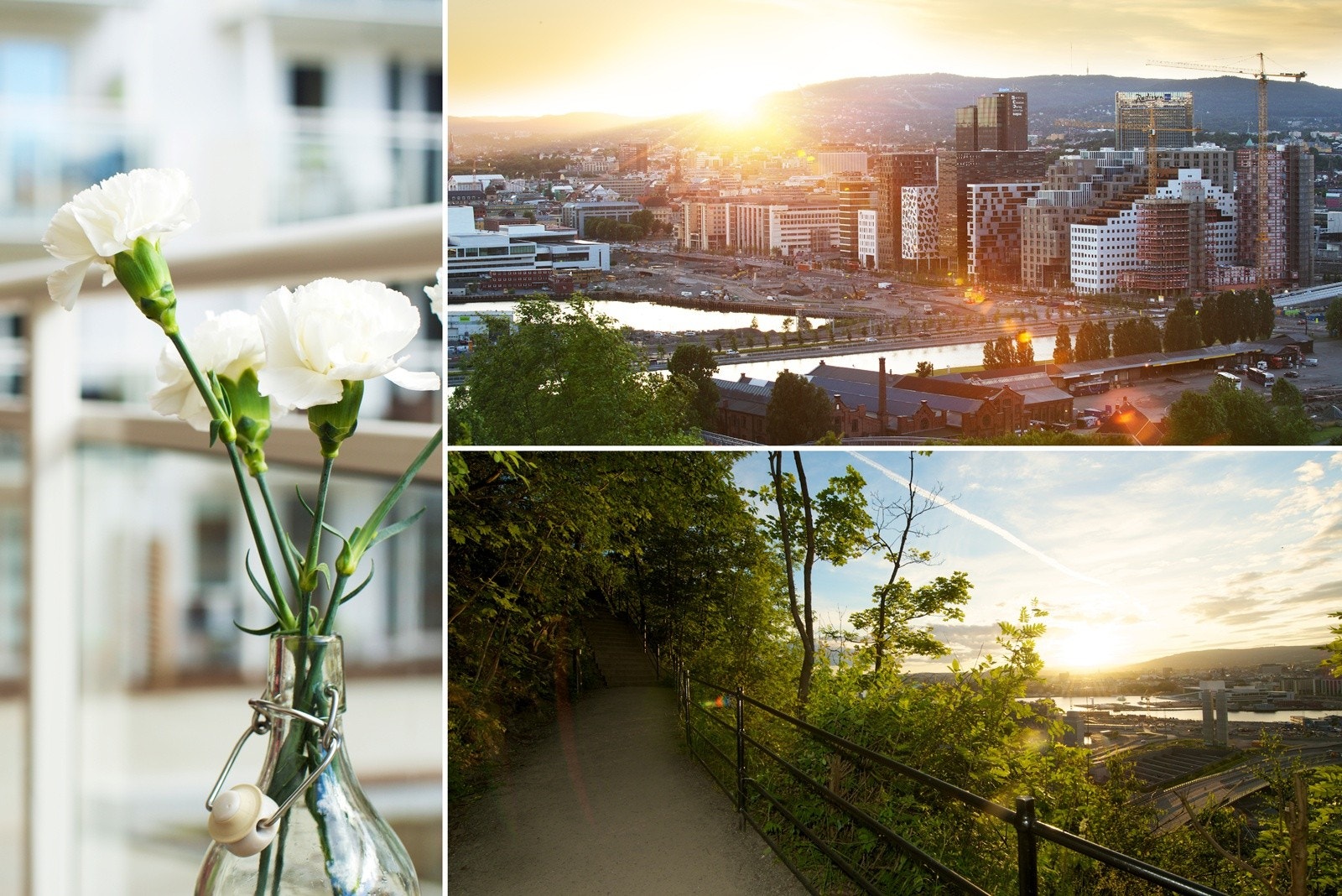 Collage nærområdet Galleribilde