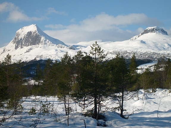 Utsikt frå Espelandsfeltet. Galleribilde