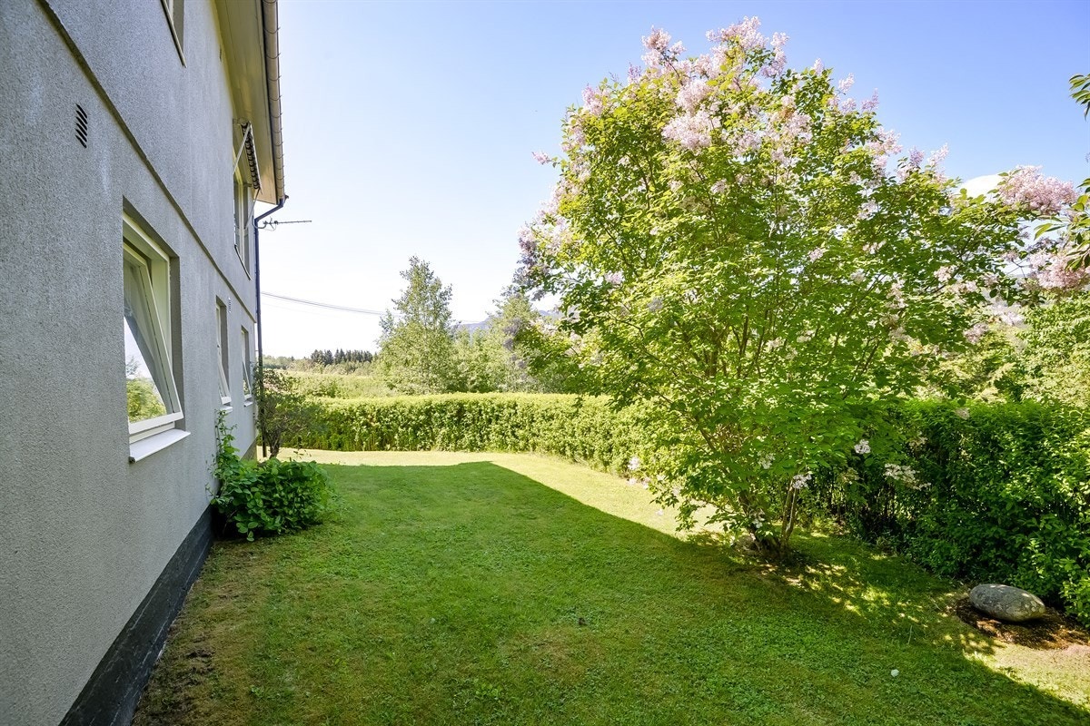 Disponibel uteplass. Galleribilde