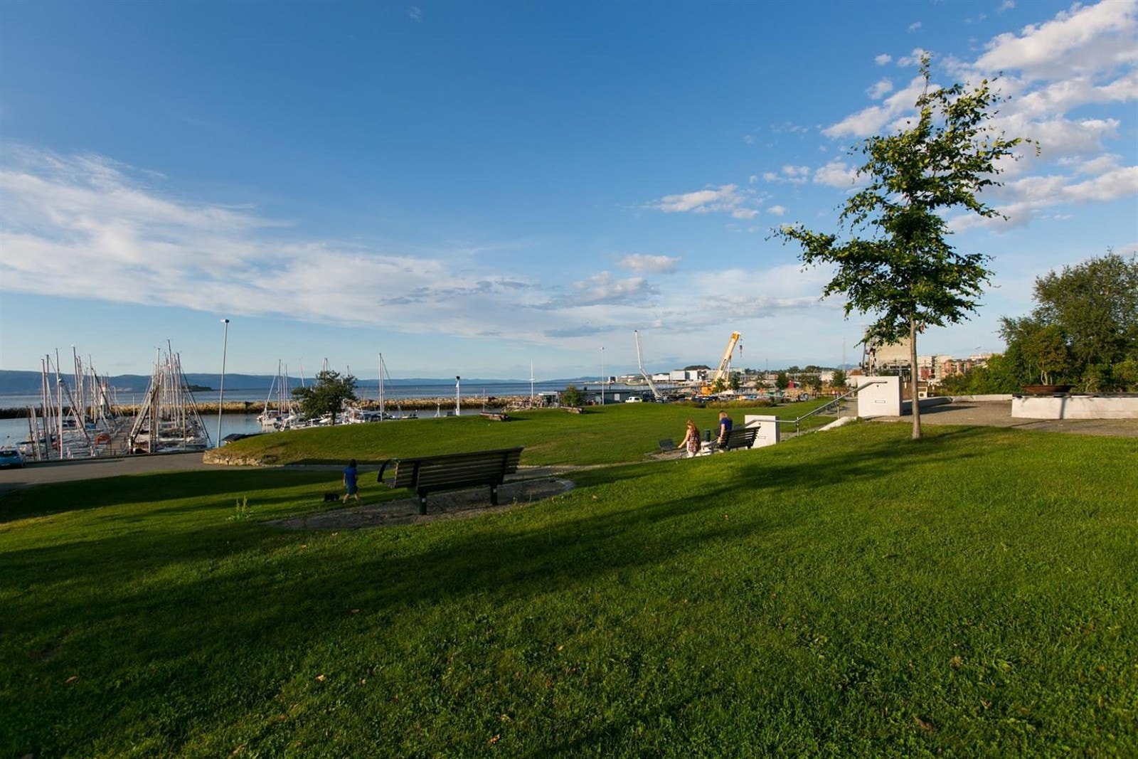Kun en kort spasertur unna leiligheten har du fantastiske Skansen med stort parkanlegg, restaurant og gang/sykkelsti langs fjorden og inn mot sentrum. Galleribilde