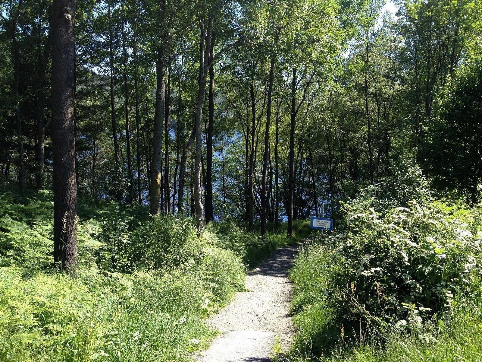 Friluftsareal rett utenfor huset Galleribilde