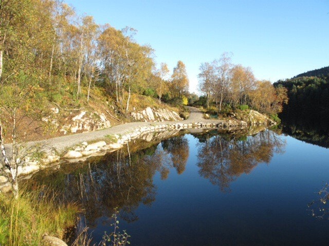 Friluftsareal 1 min fra huset Galleribilde