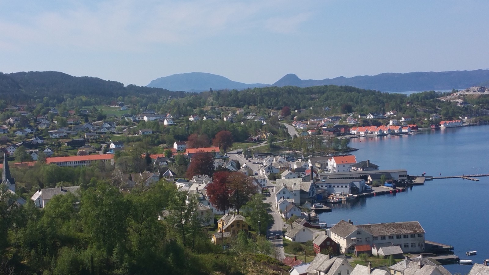 Utsikt fra feltet Galleribilde