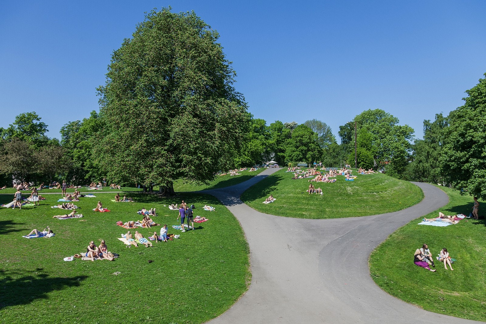 Stensparken rett over veien Galleribilde