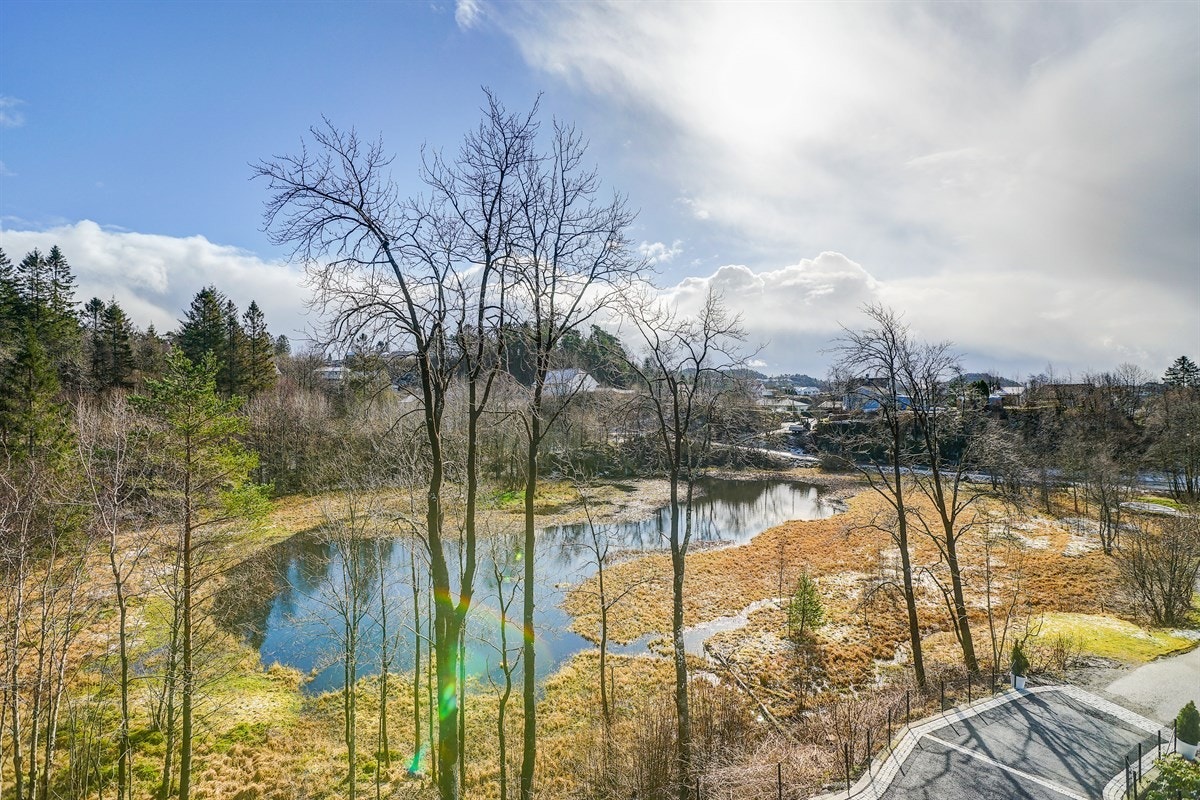 Sentralt, men allikevel landlig med ærverdige Alvøen en kort spasertur unna. Galleribilde