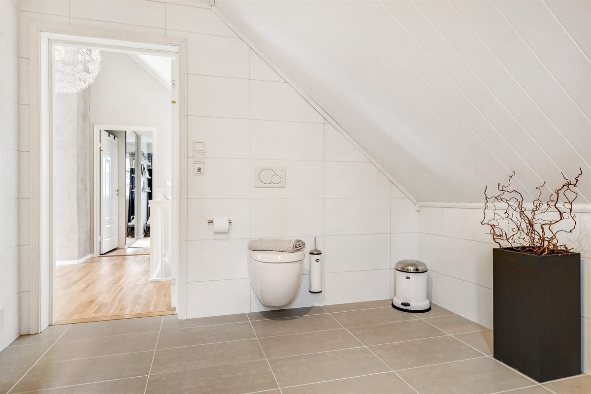 Vegghengt toalett. Galleribilde