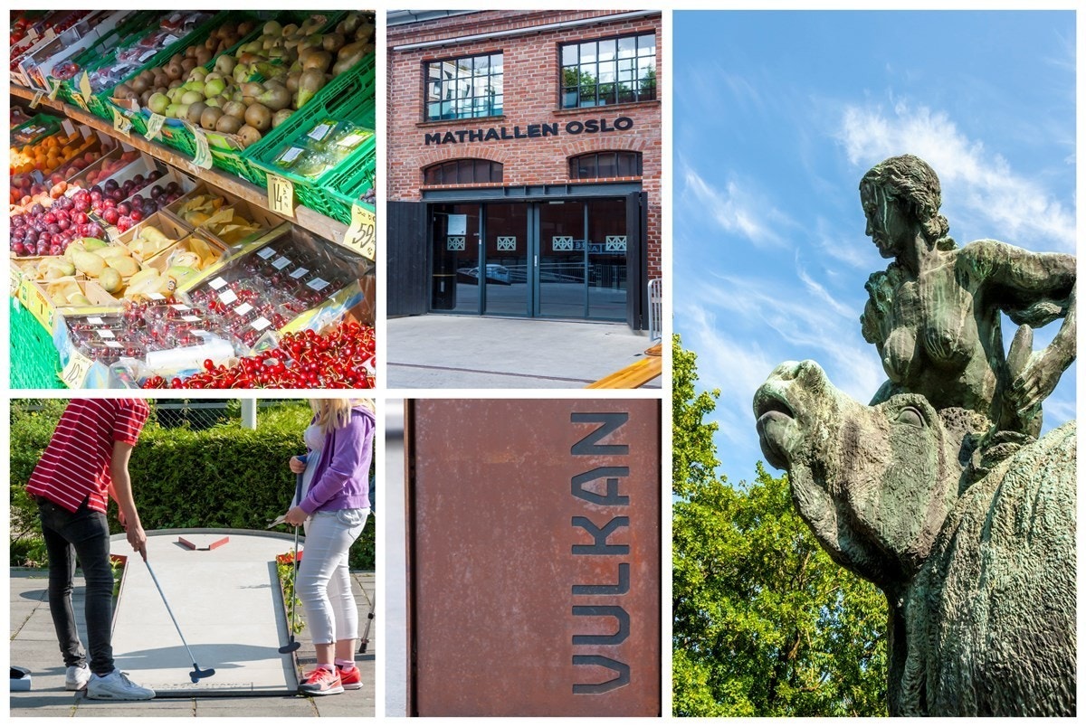 Områdebilder Galleribilde