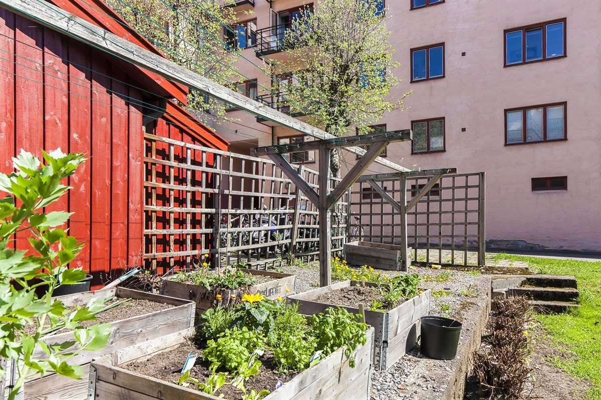 Detaljbilde fra bakgården. Galleribilde