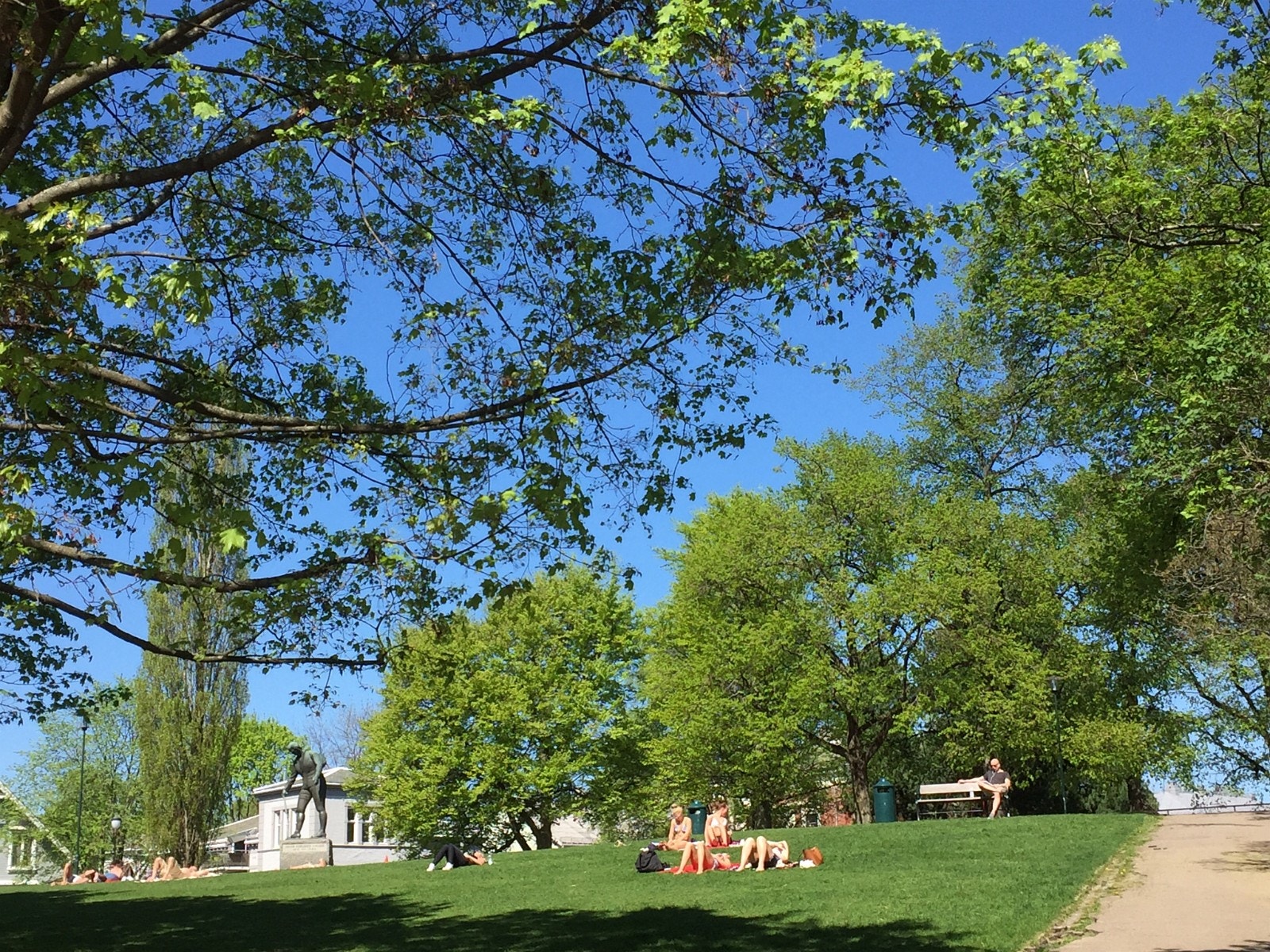 Uranienborg parken rett over gaten Galleribilde