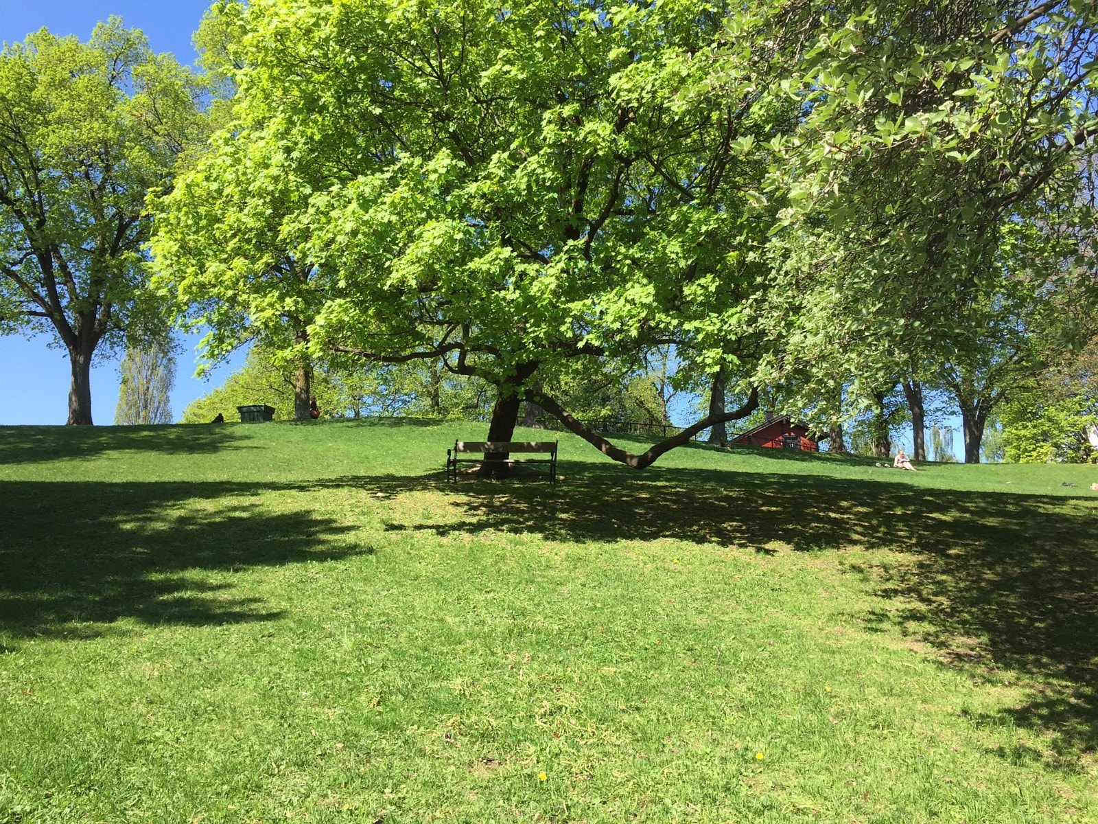 Uranienborg parken rett over gaten Galleribilde