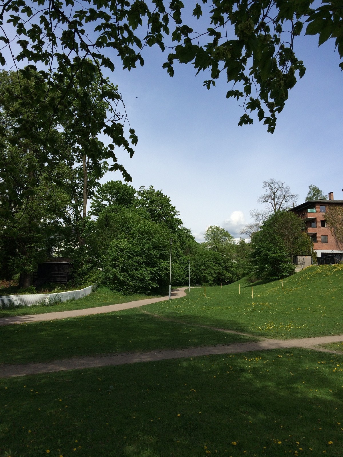 Tursti opp til Frongerparken Galleribilde