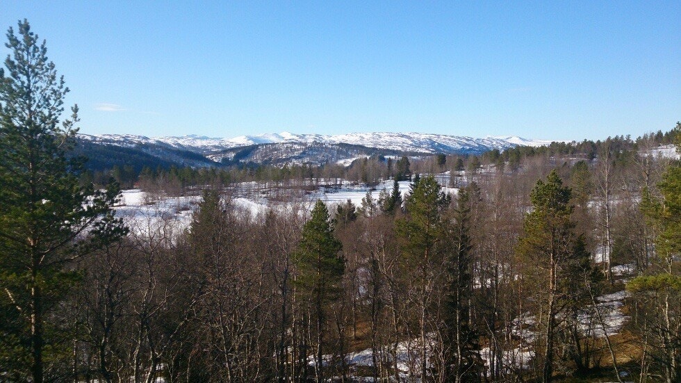 Utsikt vinter Galleribilde