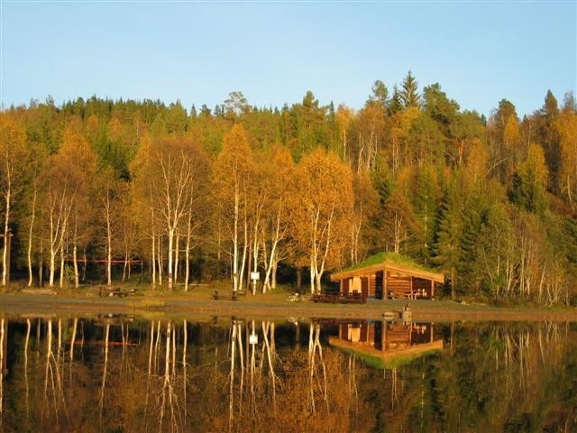 Fra badeplassen ved rørvatnet Galleribilde