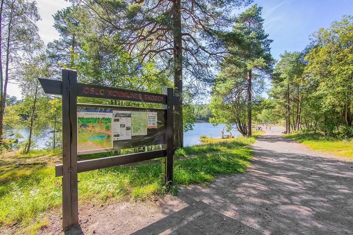 Vesletjern Galleribilde