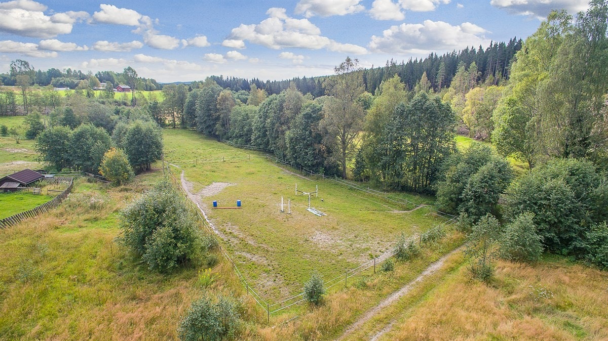 Ridebane i idylliske omgivelser Galleribilde